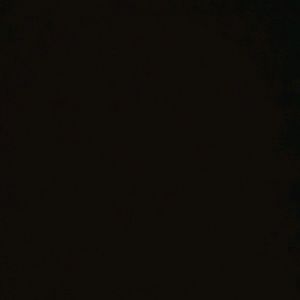 Meet your Posher, Tia